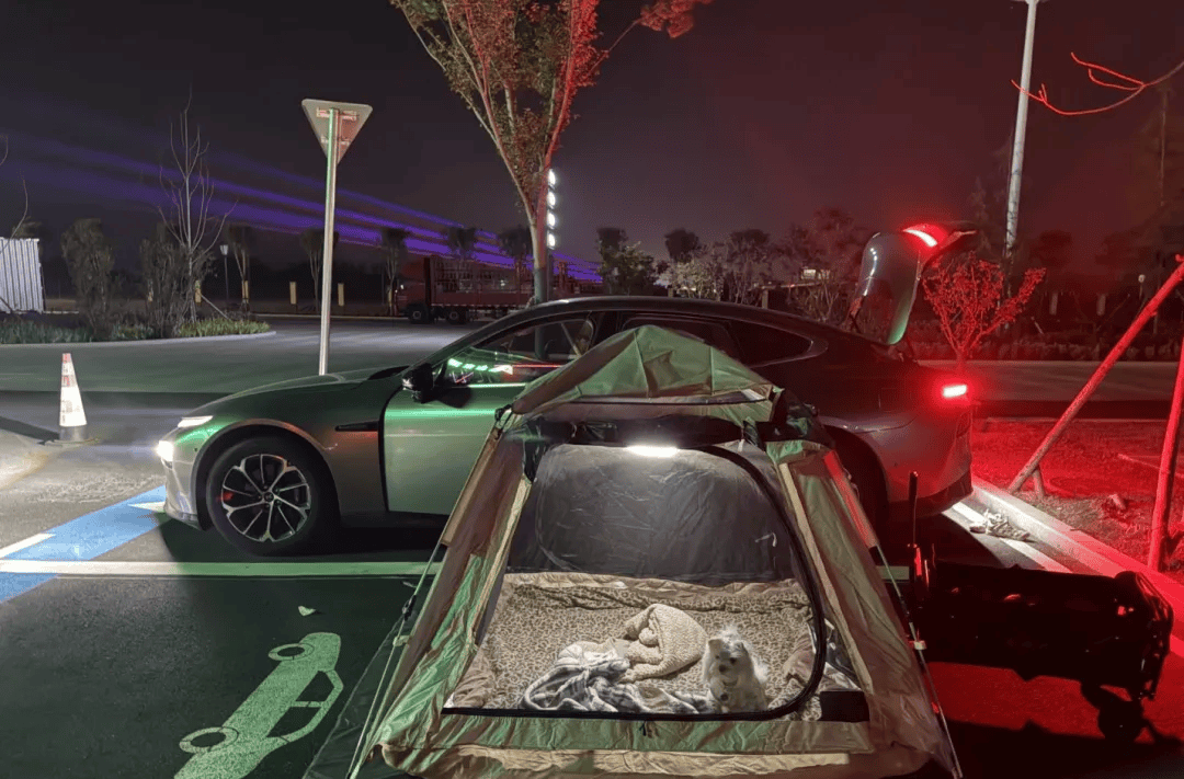 庆期间年轻人旅行掀起“帐篷过夜”热潮不朽情缘mg网址不住酒店住帐篷!国(图2) 庆期间年轻人旅行掀起“帐篷过夜”热潮不朽情缘mg网址不住酒店住帐篷!国(图2)