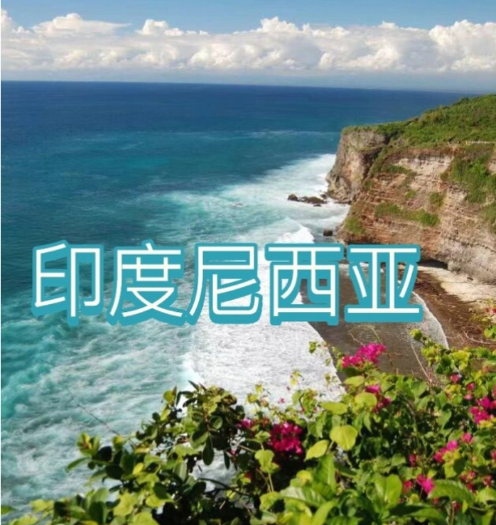 国际电商(印尼)产业博览会不朽情缘mg2025中国(图3)