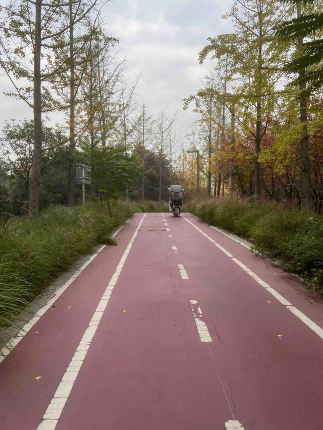 适老化方面这些做得还不错但还有改进空间不朽情缘华商报记者走访了12座城市公园(图3)