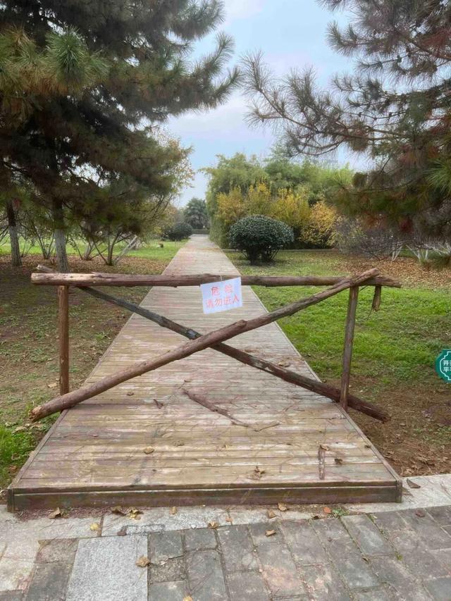 适老化方面这些做得还不错但还有改进空间不朽情缘华商报记者走访了12座城市公园(图9)