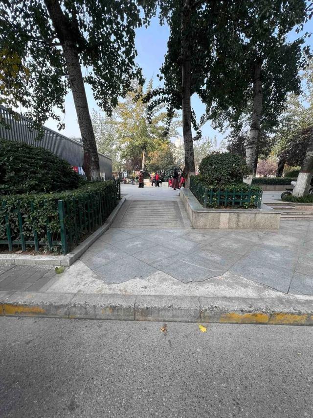 适老化方面这些做得还不错但还有改进空间不朽情缘华商报记者走访了12座城市公园(图6)