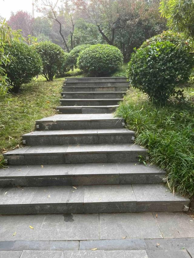 适老化方面这些做得还不错但还有改进空间不朽情缘华商报记者走访了12座城市公园(图10)