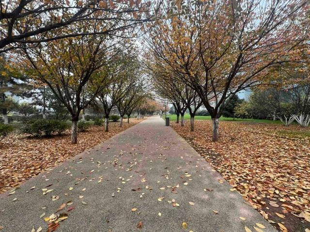 适老化方面这些做得还不错但还有改进空间不朽情缘华商报记者走访了12座城市公园(图12) 适老化方面这些做得还不错但还有改进空间不朽情缘华商报记者走访了12座城市公园(图12)