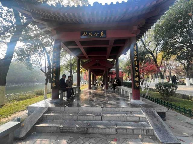 适老化方面这些做得还不错但还有改进空间不朽情缘华商报记者走访了12座城市公园(图13)