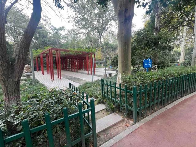 适老化方面这些做得还不错但还有改进空间不朽情缘华商报记者走访了12座城市公园(图25)