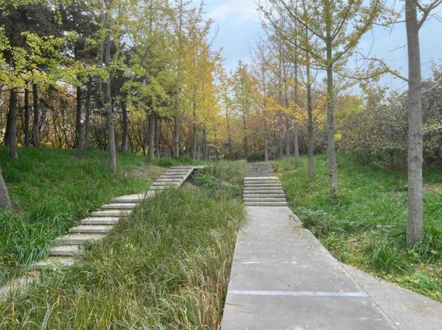 适老化方面这些做得还不错但还有改进空间不朽情缘华商报记者走访了12座城市公园(图23)