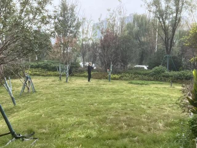 适老化方面这些做得还不错但还有改进空间不朽情缘华商报记者走访了12座城市公园(图26)