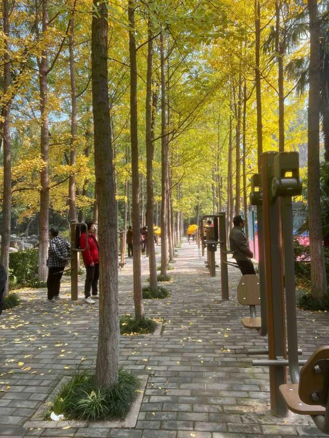 适老化方面这些做得还不错但还有改进空间不朽情缘华商报记者走访了12座城市公园(图28)