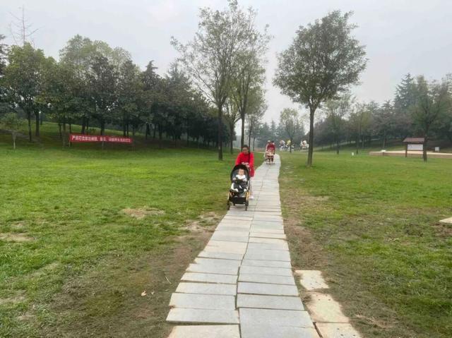 适老化方面这些做得还不错但还有改进空间不朽情缘华商报记者走访了12座城市公园(图34)